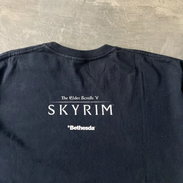 The Elder Scrolls V Skyrim Bethesda 2010s